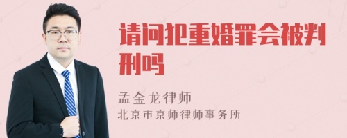 请问犯重婚罪会被判刑吗