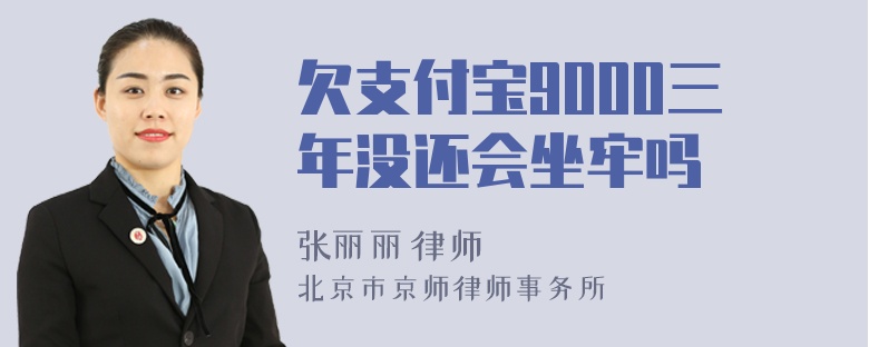 欠支付宝9000三年没还会坐牢吗