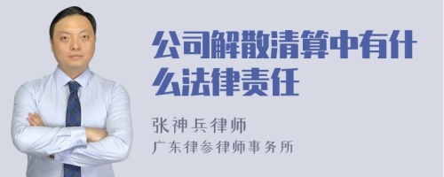 公司解散清算中有什么法律责任