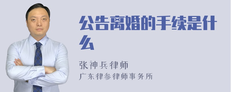 公告离婚的手续是什么