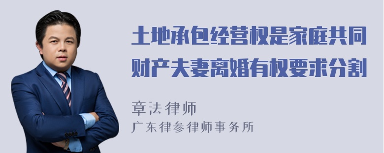 土地承包经营权是家庭共同财产夫妻离婚有权要求分割