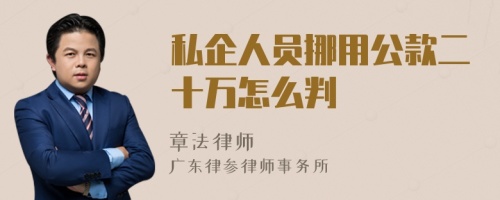 私企人员挪用公款二十万怎么判