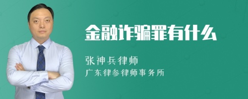 金融诈骗罪有什么