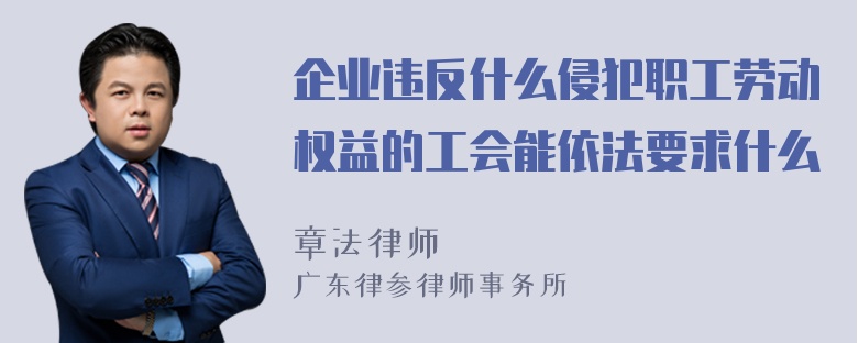 企业违反什么侵犯职工劳动权益的工会能依法要求什么