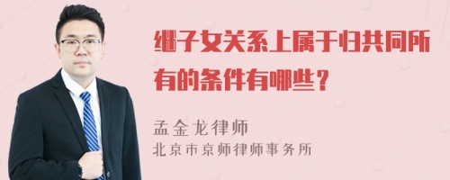 继子女关系上属于归共同所有的条件有哪些？