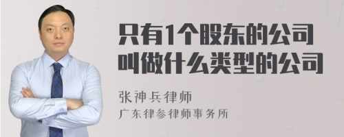 只有1个股东的公司叫做什么类型的公司