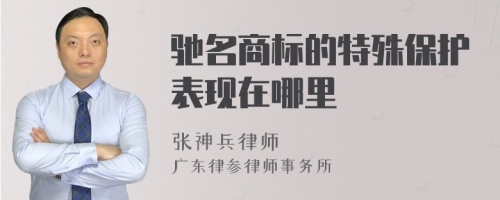 驰名商标的特殊保护表现在哪里