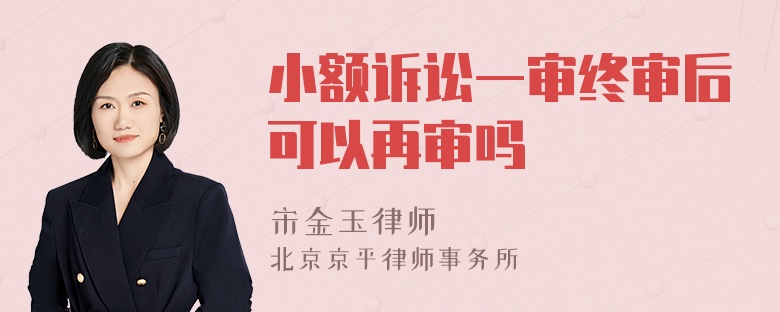 小额诉讼一审终审后可以再审吗