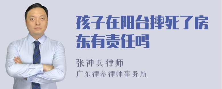 孩子在阳台摔死了房东有责任吗