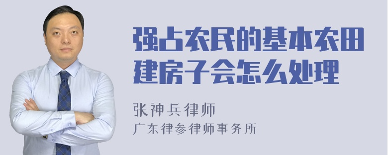 强占农民的基本农田建房子会怎么处理