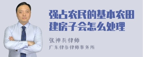 强占农民的基本农田建房子会怎么处理