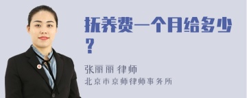 抚养费一个月给多少？