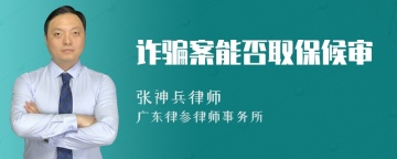 诈骗案能否取保候审