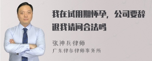 我在试用期怀孕，公司要辞退我请问合法吗