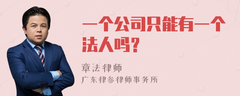 一个公司只能有一个法人吗？