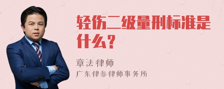 轻伤二级量刑标准是什么？