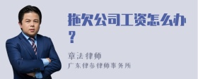 拖欠公司工资怎么办？