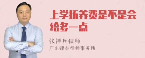 上学抚养费是不是会给多一点