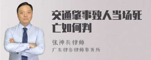 交通肇事致人当场死亡如何判