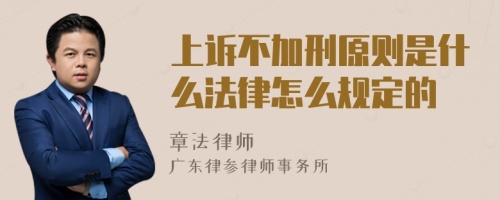 上诉不加刑原则是什么法律怎么规定的