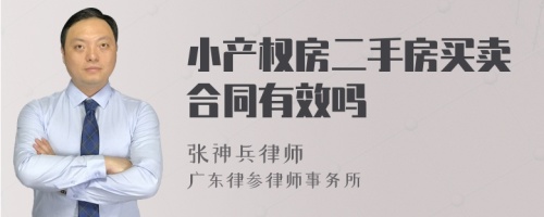 小产权房二手房买卖合同有效吗