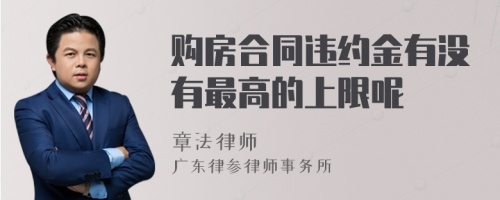 购房合同违约金有没有最高的上限呢