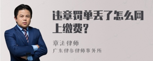 违章罚单丢了怎么网上缴费?