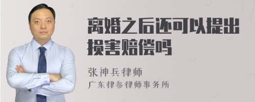 离婚之后还可以提出损害赔偿吗