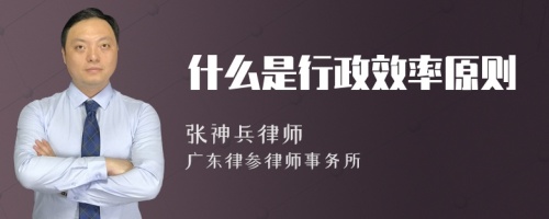 什么是行政效率原则