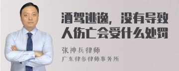 酒驾逃逸，没有导致人伤亡会受什么处罚