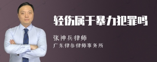 轻伤属于暴力犯罪吗