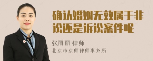 确认婚姻无效属于非讼还是诉讼案件呢