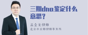 三期dna鉴定什么意思？