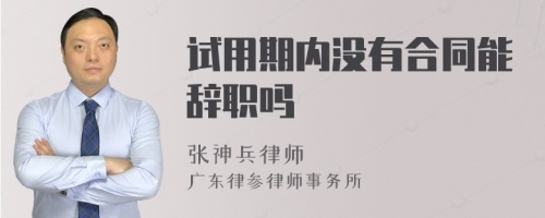 试用期内没有合同能辞职吗