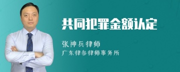 共同犯罪金额认定