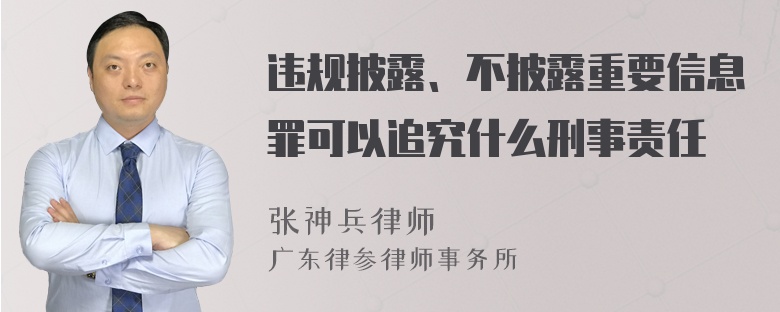 违规披露、不披露重要信息罪可以追究什么刑事责任