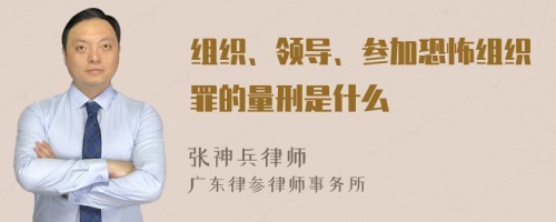 组织、领导、参加恐怖组织罪的量刑是什么