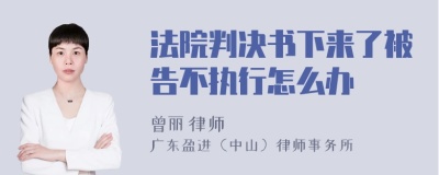 法院判决书下来了被告不执行怎么办