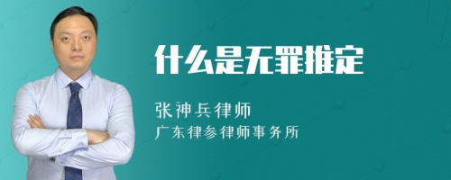 什么是无罪推定