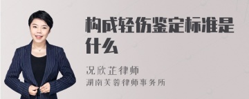 构成轻伤鉴定标准是什么