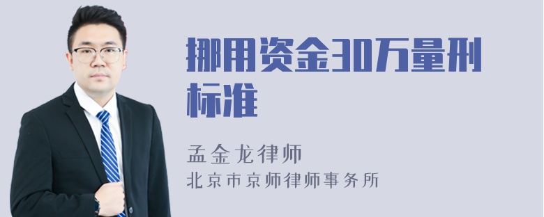 挪用资金30万量刑标准