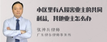 小区里有人损害业主的共同利益，其他业主怎么办