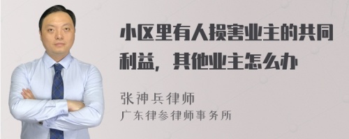 小区里有人损害业主的共同利益，其他业主怎么办