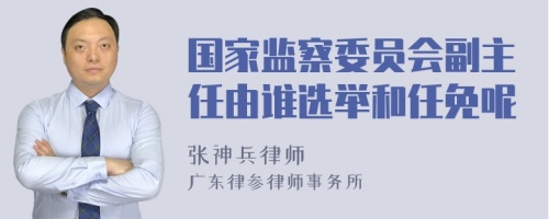 国家监察委员会副主任由谁选举和任免呢