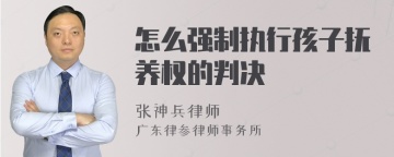 怎么强制执行孩子抚养权的判决