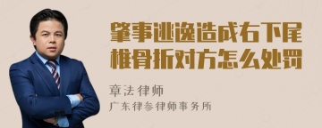 肇事逃逸造成右下尾椎骨折对方怎么处罚