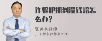 诈骗犯抓到没钱赔怎么办?