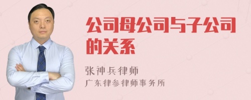 公司母公司与子公司的关系