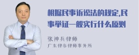 根据民事诉讼法的规定,民事举证一般实行什么原则