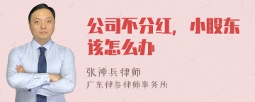 公司不分红，小股东该怎么办